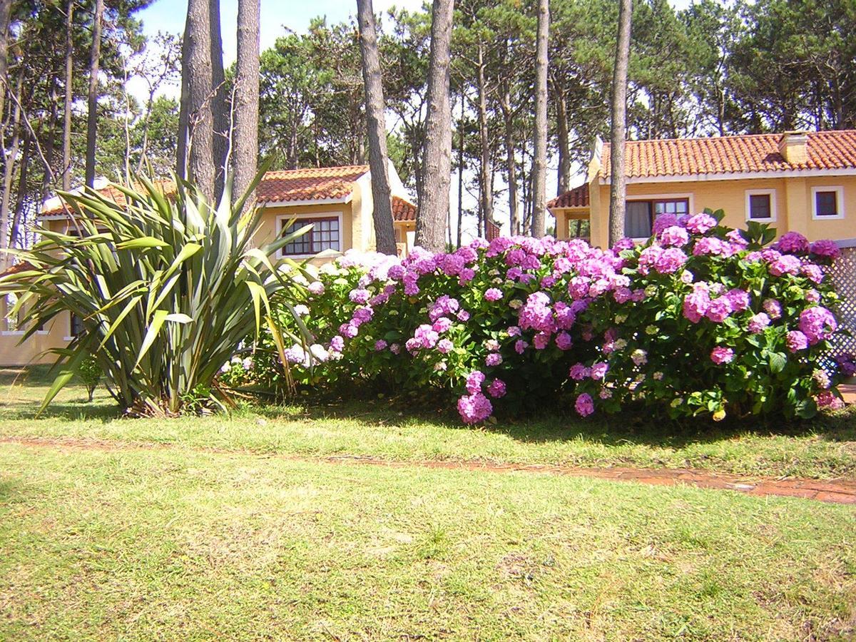 Pino Dorado Aparthotel Manantiales Exterior photo